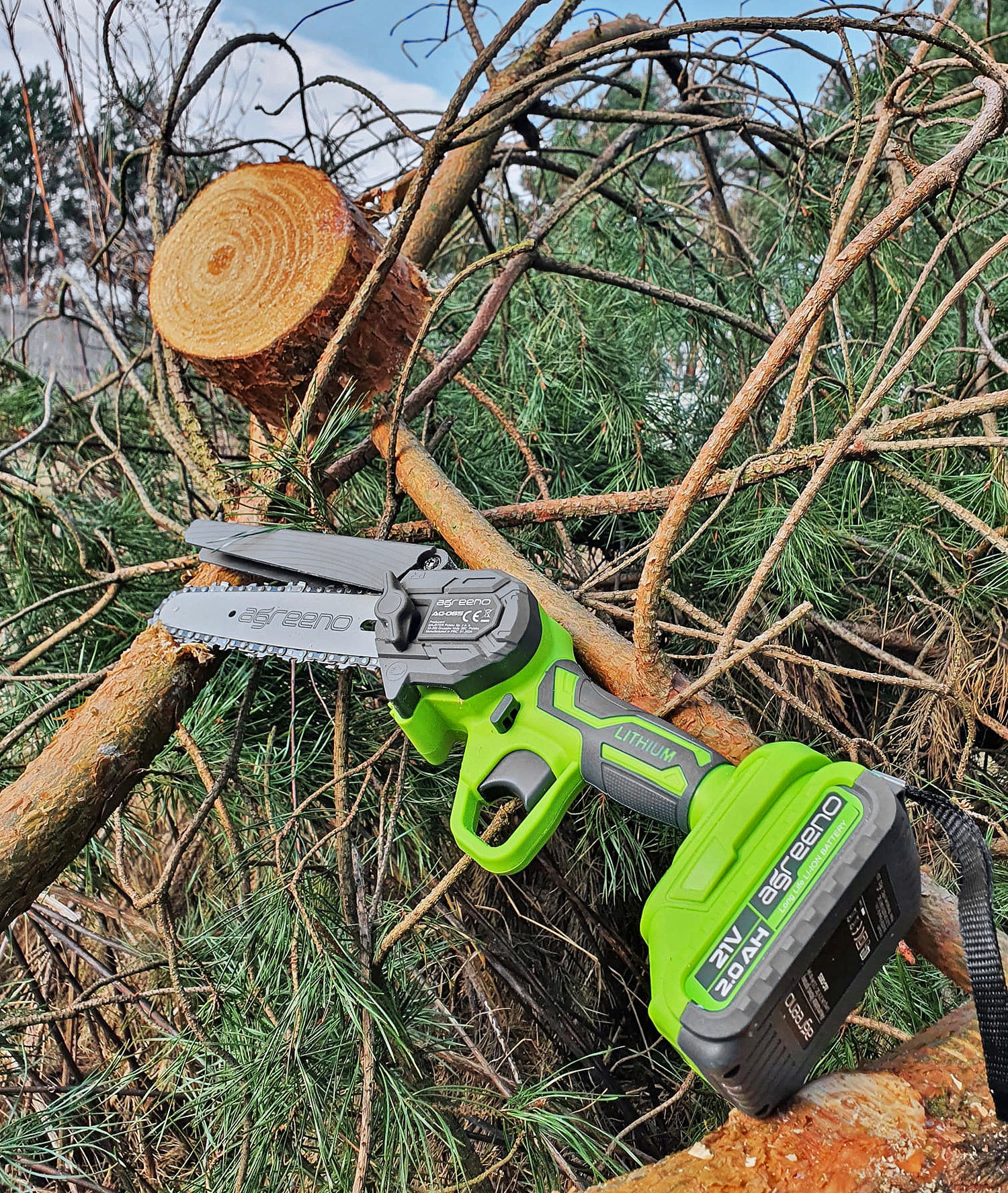 Akumulatorowa pilarka łańcuchowa marki Agreeno leżącą na ściętej gałęzi drzewa iglastego. 